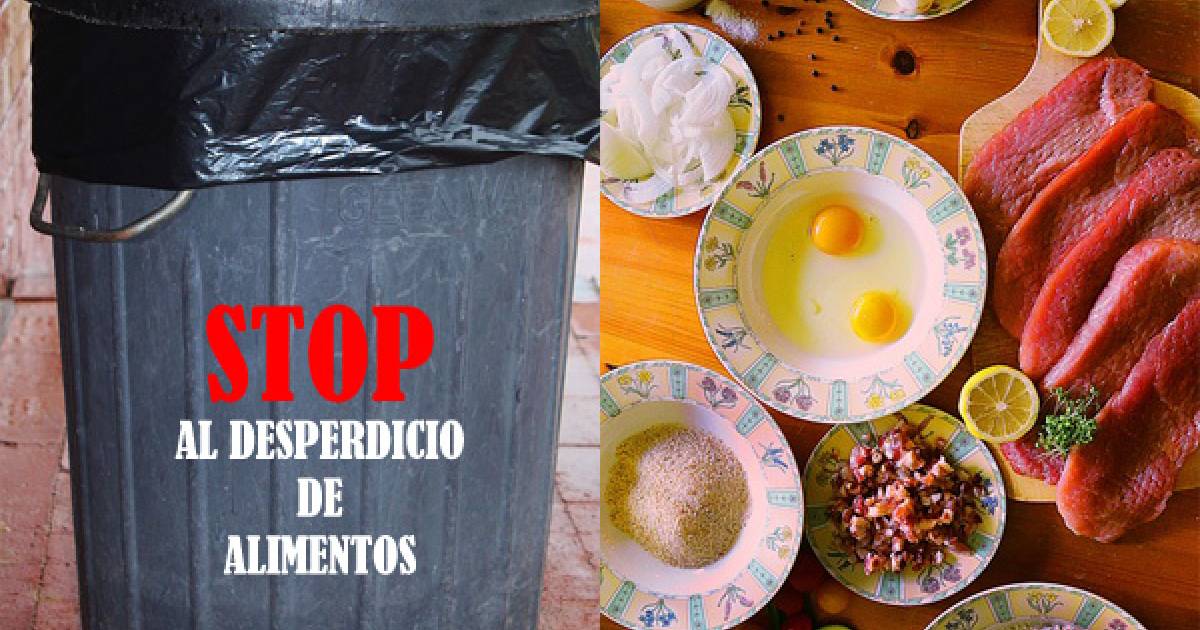 Reduce El Desperdicio De Alimentos Trucos Para Evitar Tirar Tanta